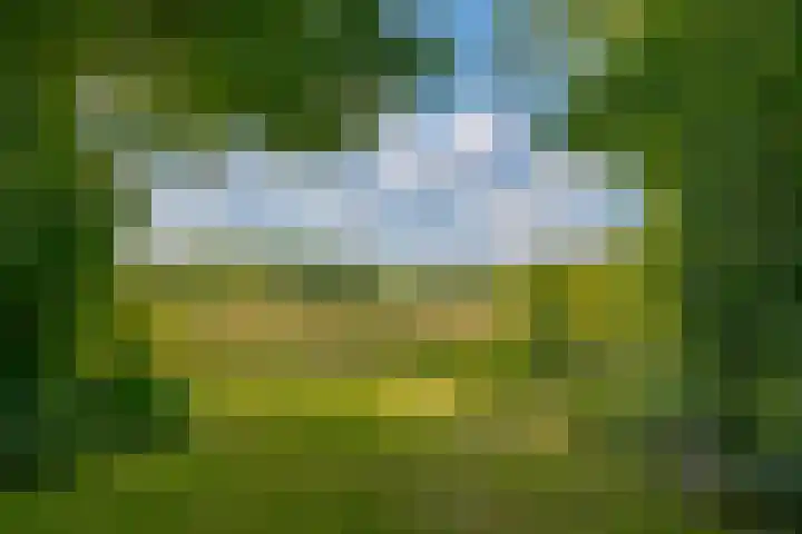 Oude Oever 4 Dalfsen thumbnail 62