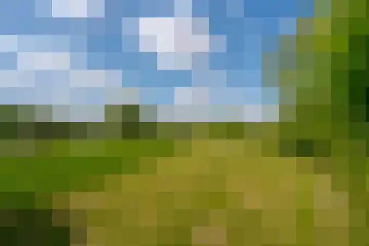 Oude Oever 4 Dalfsen thumbnail 63