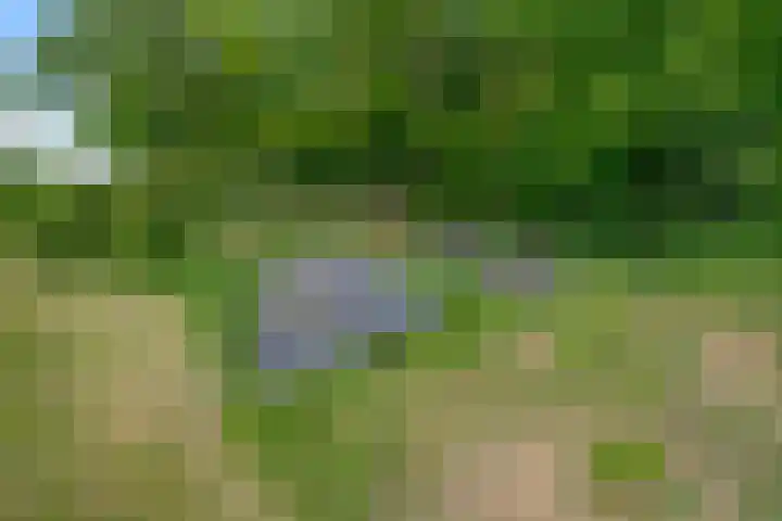 Oude Oever 4 Dalfsen thumbnail 64