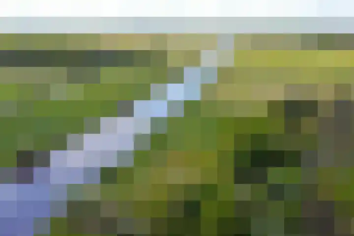 Oude Oever 4 Dalfsen thumbnail 66