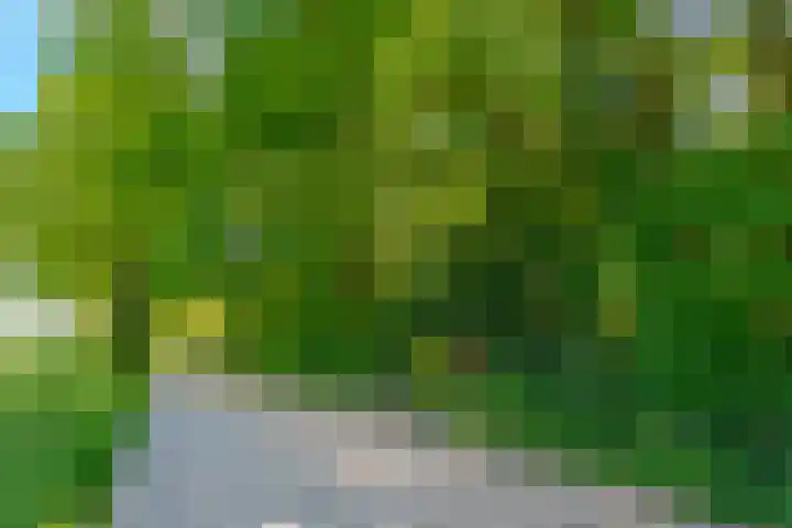 Oude Oever 4 Dalfsen thumbnail 7