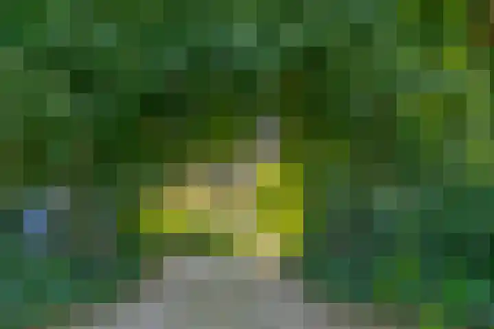 Oude Oever 4 Dalfsen thumbnail 8