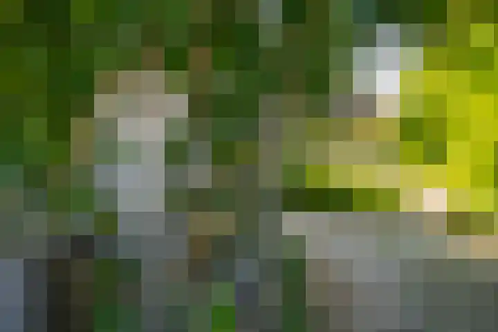 Oude Oever 4 Dalfsen thumbnail 9