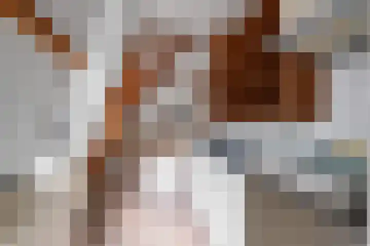 Oude Oeverstraat 10 A 3 Arnhem thumbnail 11