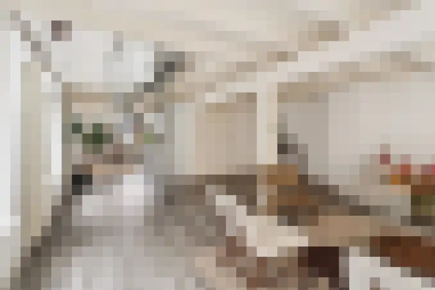 Oude Oeverstraat 11 1 Arnhem thumbnail 12