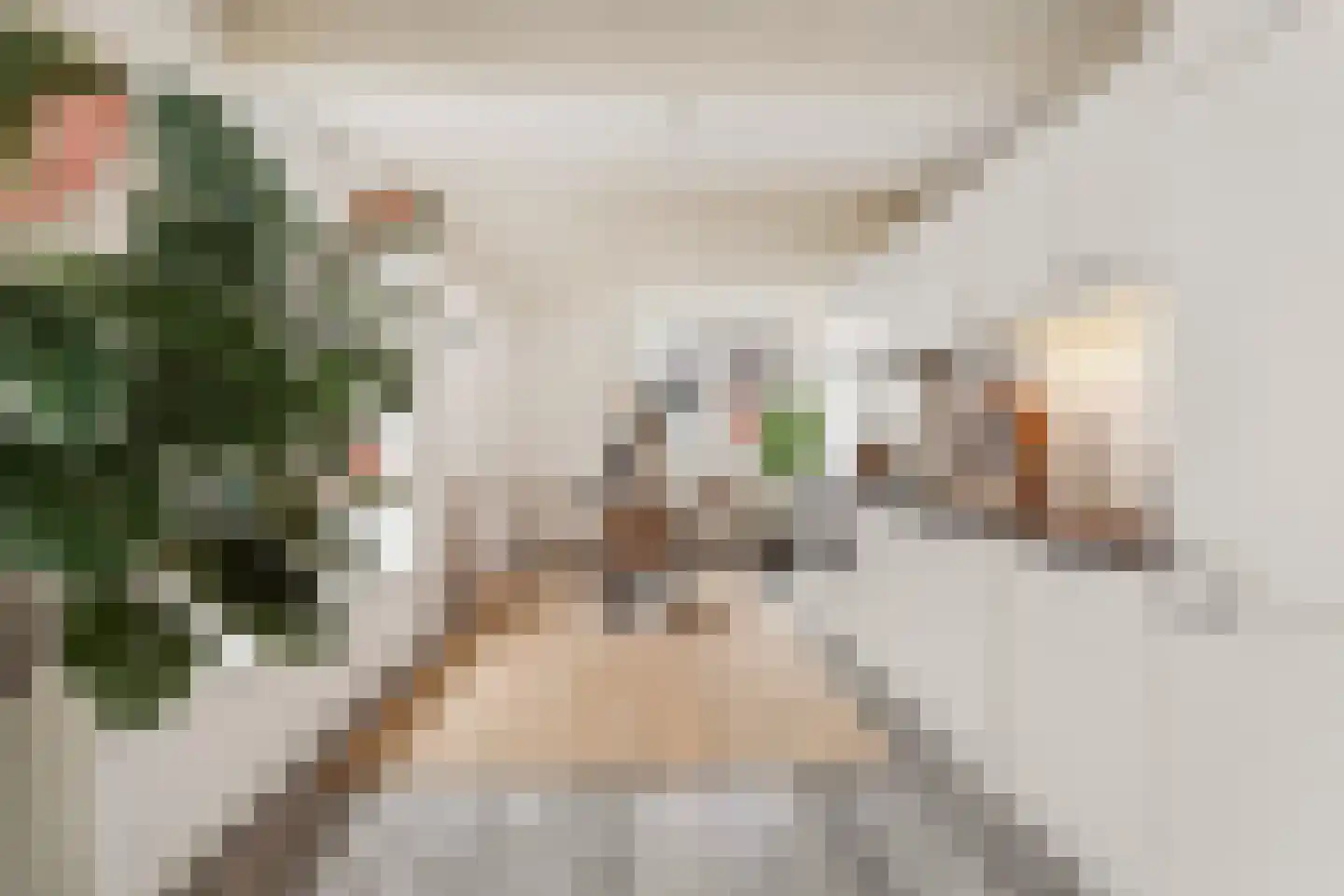 Oude Oeverstraat 11 1 Arnhem thumbnail 14