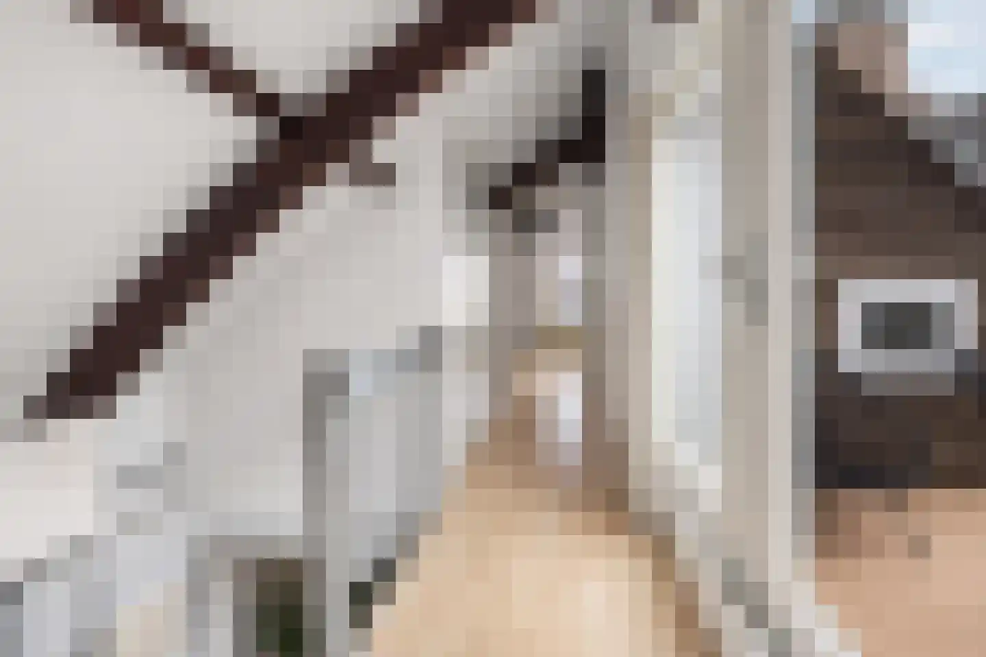 Oude Oeverstraat 11 1 Arnhem thumbnail 21
