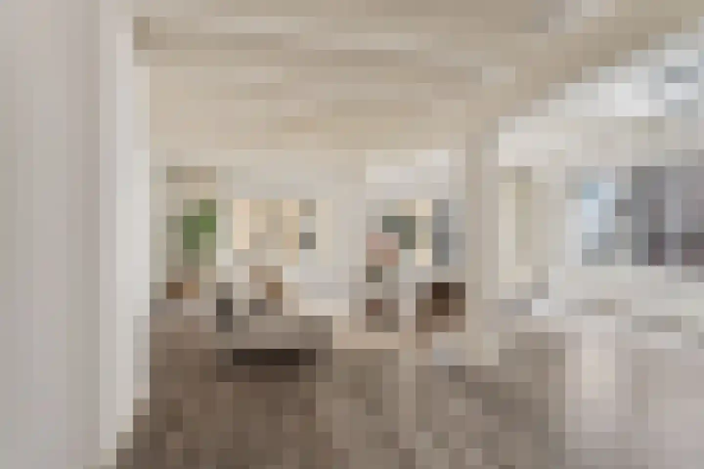 Oude Oeverstraat 11 1 Arnhem thumbnail 6