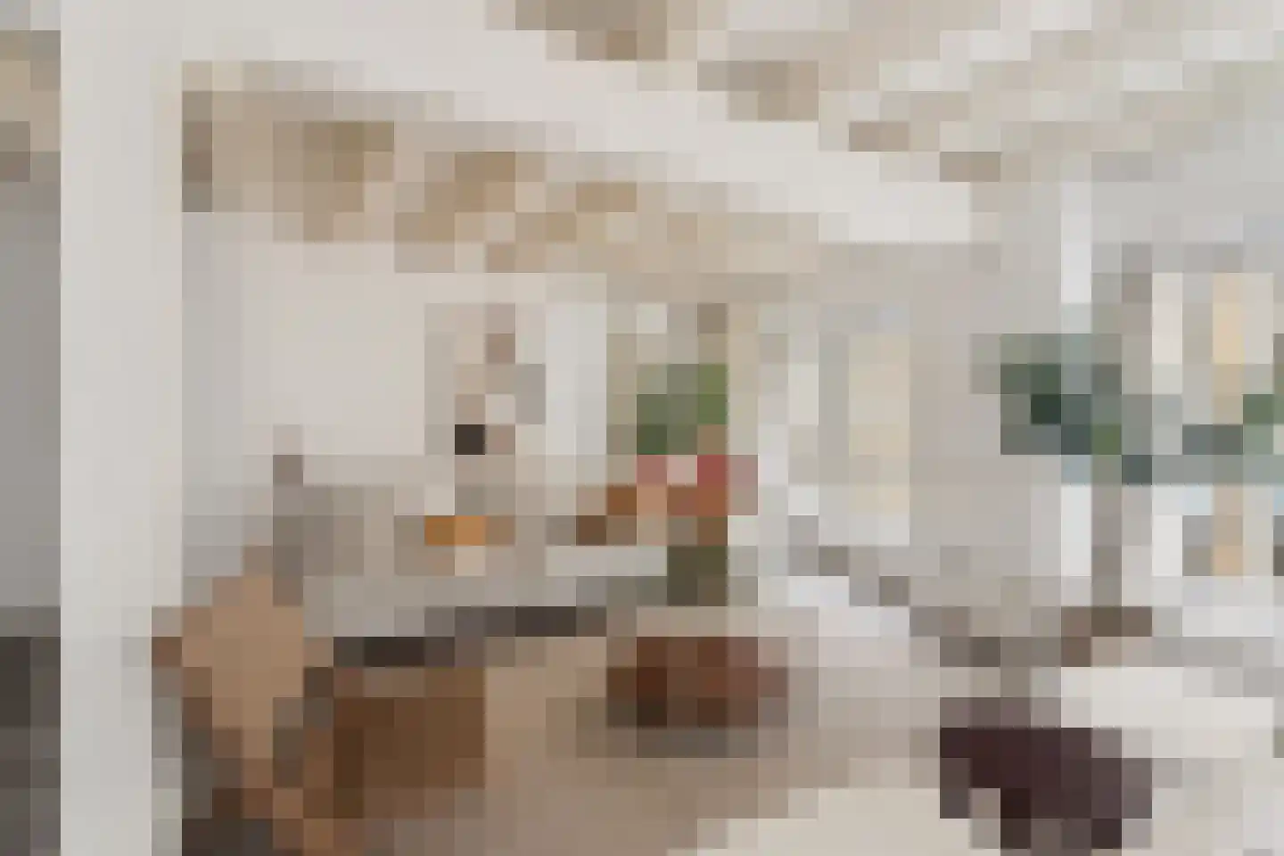 Oude Oeverstraat 11 1 Arnhem thumbnail 8