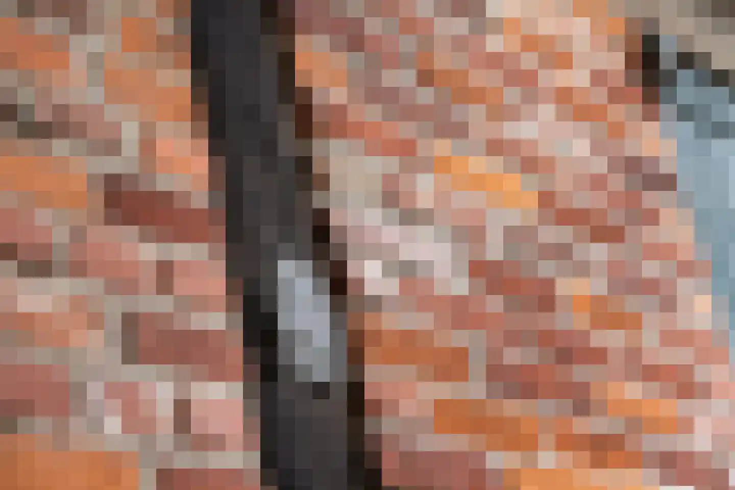 Oude Ootmarsumsestraat 27 Oldenzaal thumbnail 31