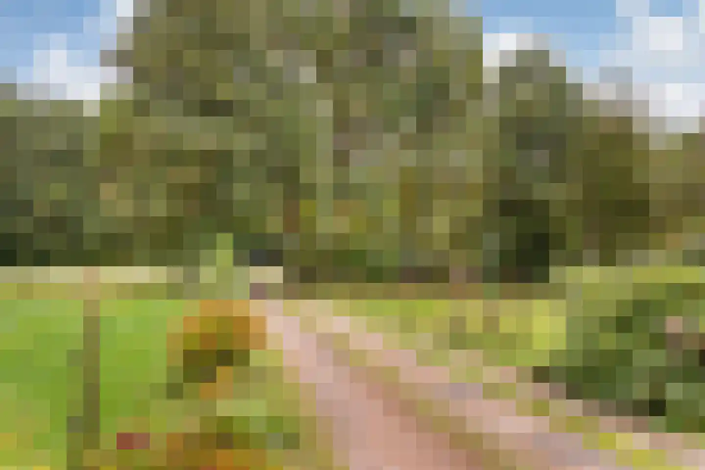 Oude Ootmarsumsestraat 27 Oldenzaal thumbnail 34