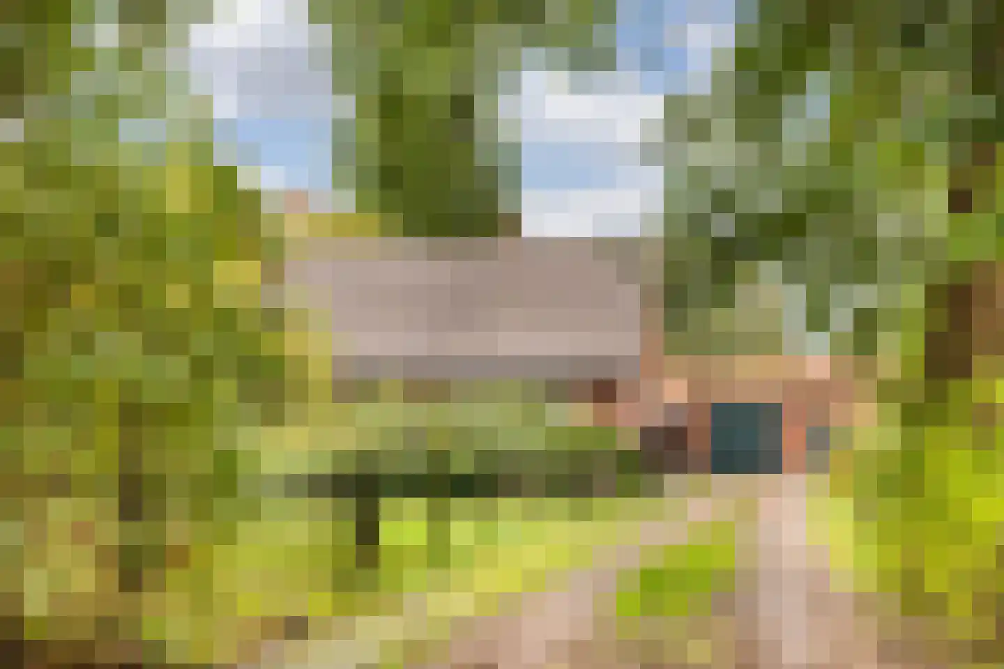 Oude Ootmarsumsestraat 27 Oldenzaal thumbnail 35