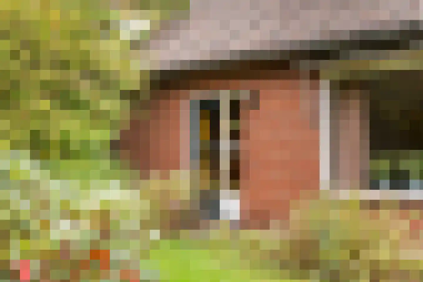 Oude Ootmarsumsestraat 27 Oldenzaal thumbnail 5