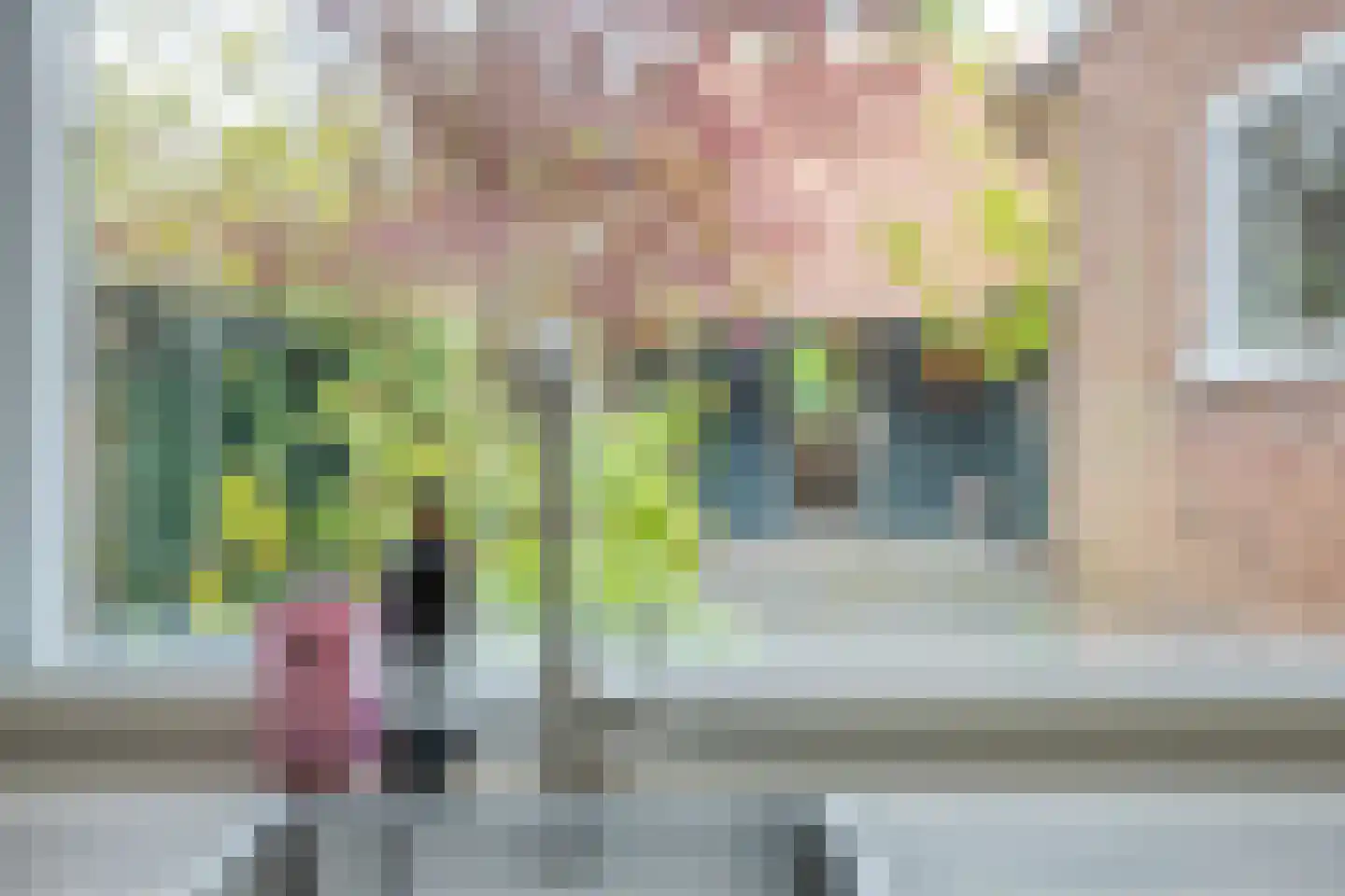 Oude Ootmarsumsestraat 28 Oldenzaal thumbnail 17