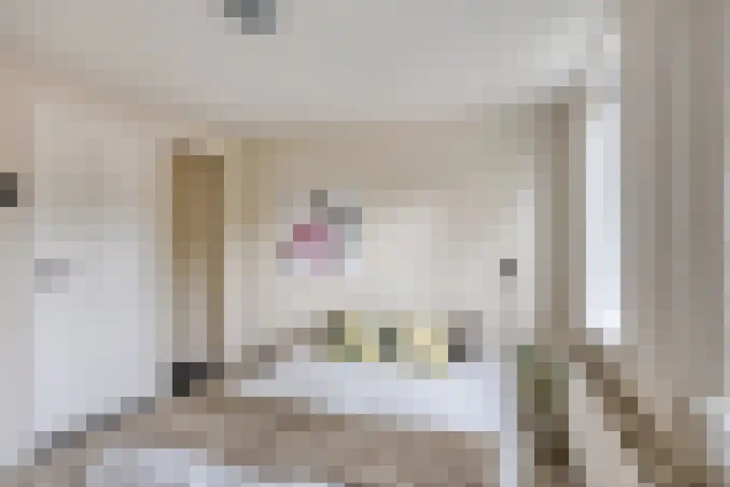 Oude Ootmarsumsestraat 28 Oldenzaal thumbnail 24