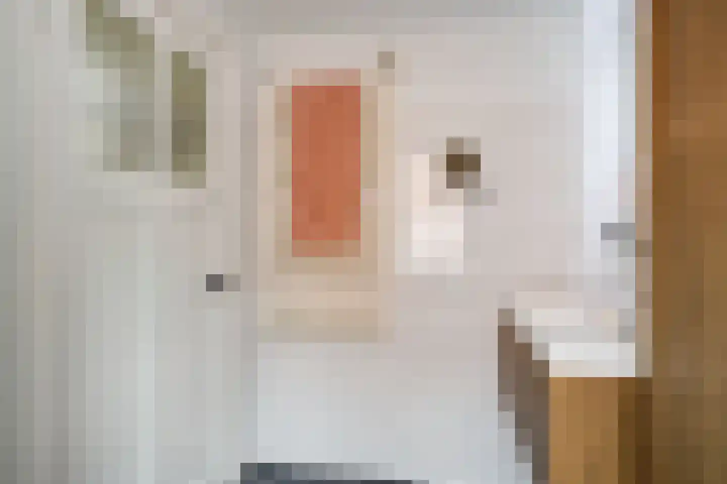Oude Ootmarsumsestraat 28 Oldenzaal thumbnail 26