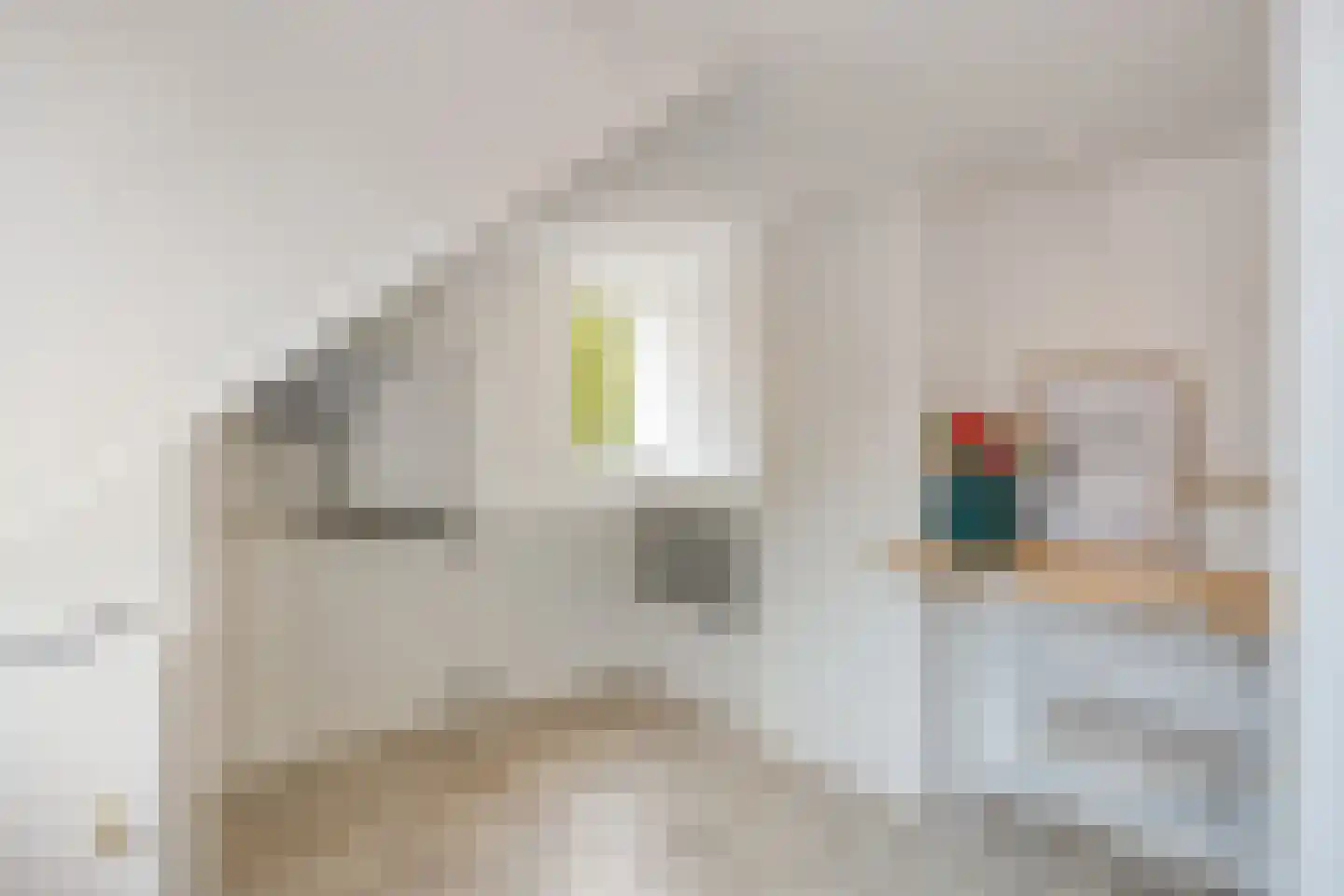 Oude Ootmarsumsestraat 28 Oldenzaal thumbnail 34