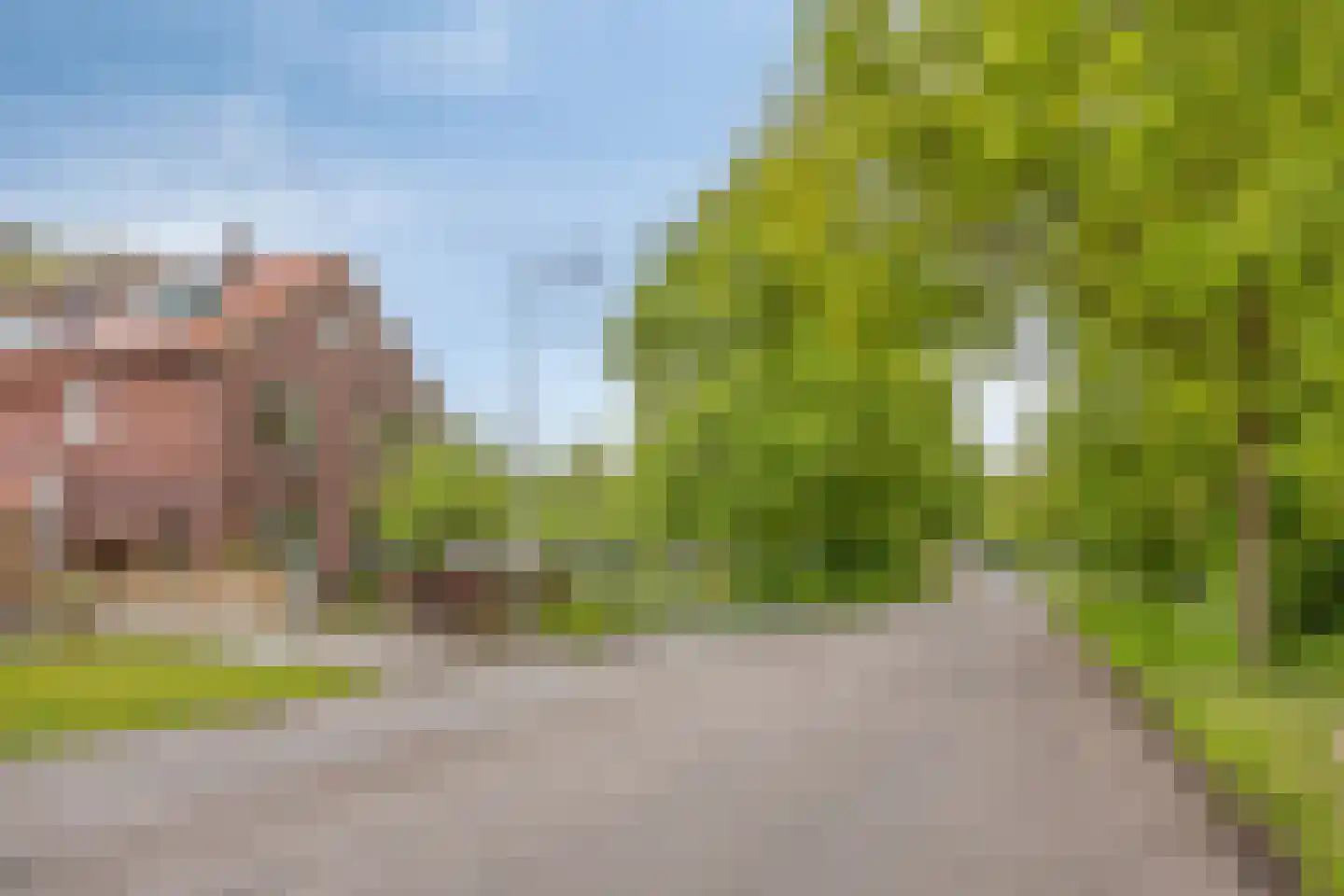 Oude Ootmarsumsestraat 28 Oldenzaal thumbnail 4
