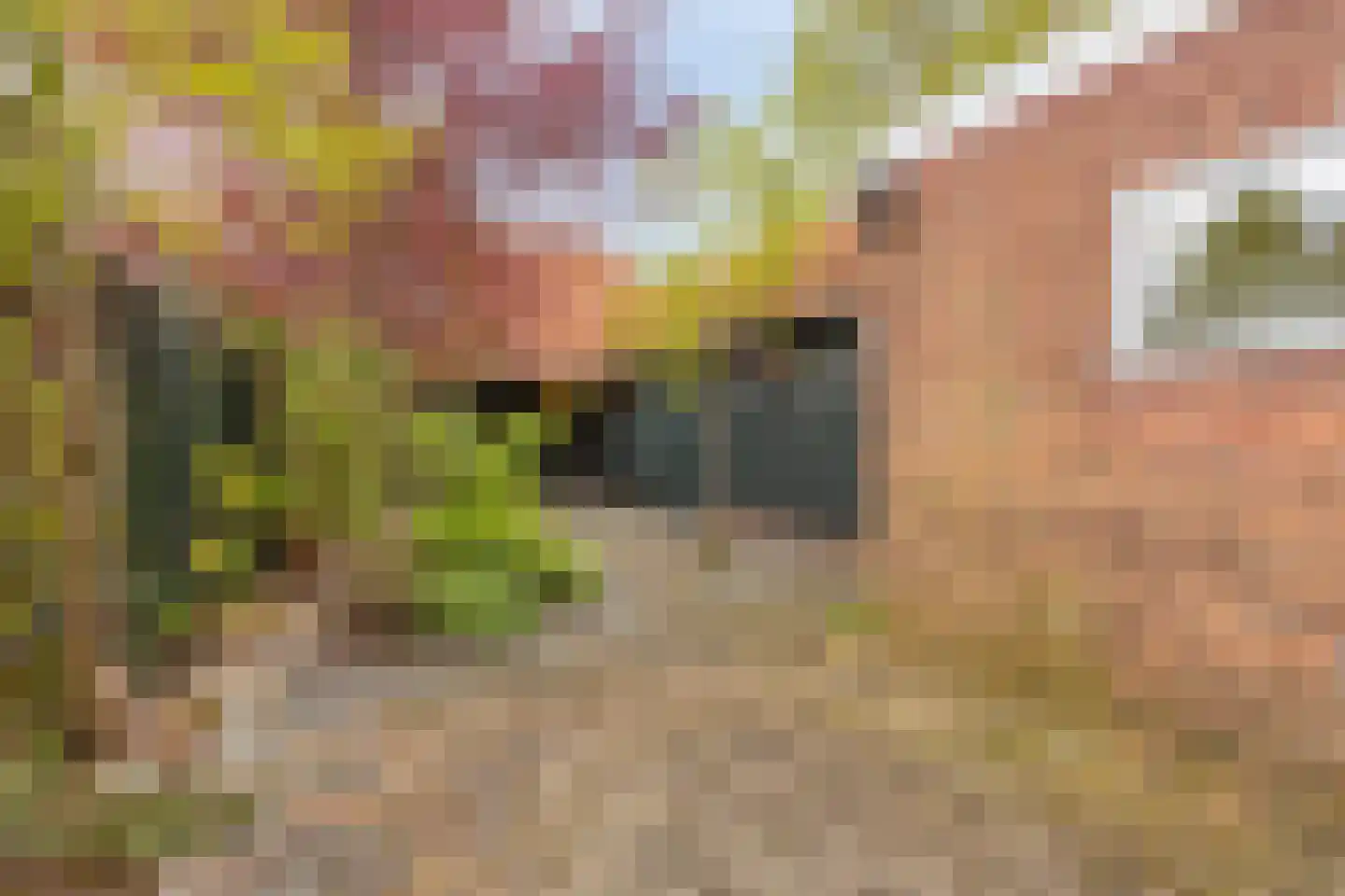 Oude Ootmarsumsestraat 28 Oldenzaal thumbnail 41