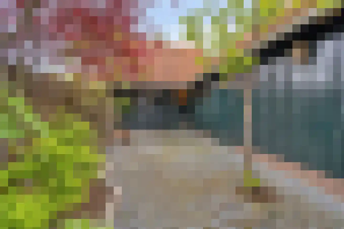 Oude Ootmarsumsestraat 28 Oldenzaal thumbnail 43