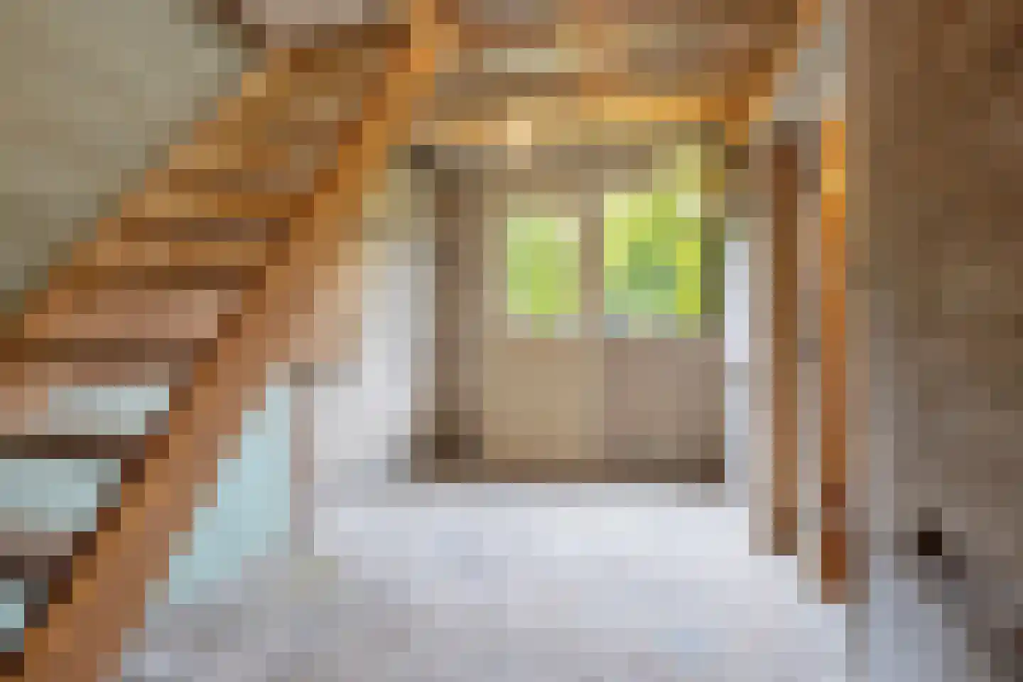 Oude Ootmarsumsestraat 28 Oldenzaal thumbnail 44
