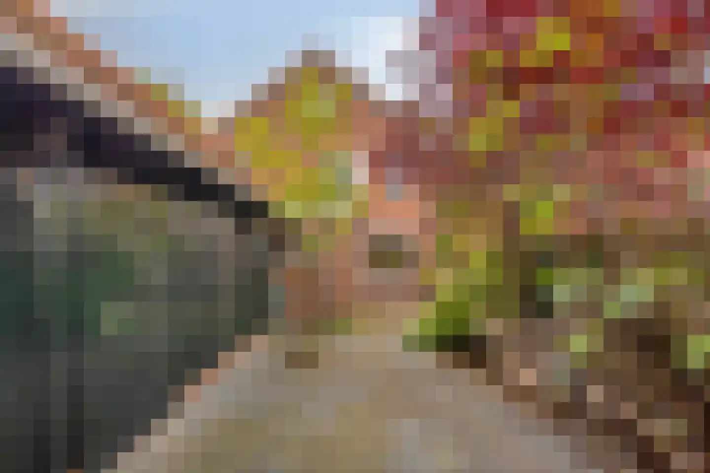 Oude Ootmarsumsestraat 28 Oldenzaal thumbnail 46