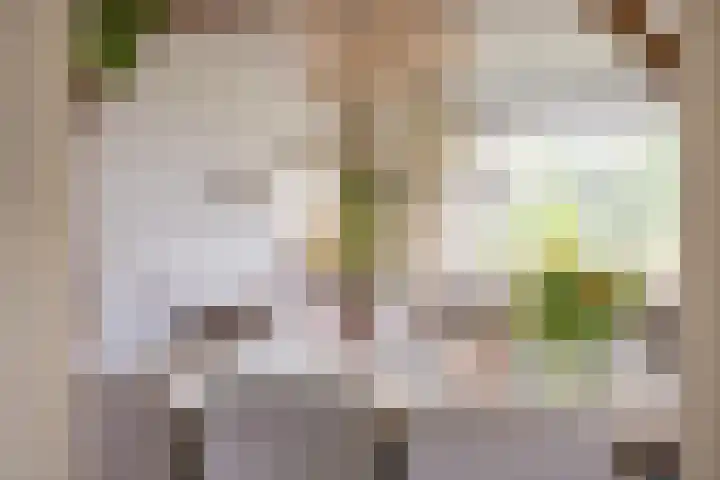 Oude Ootmarsumsestraat 66 Oldenzaal thumbnail 13