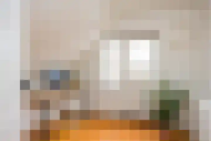 Oude Ootmarsumsestraat 66 Oldenzaal thumbnail 20