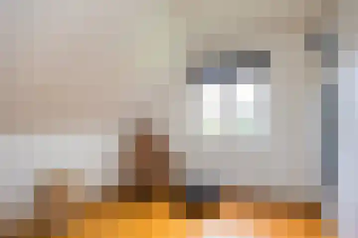 Oude Ootmarsumsestraat 66 Oldenzaal thumbnail 22