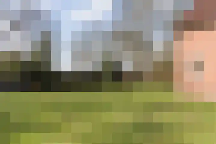 Oude Ootmarsumsestraat 66 Oldenzaal thumbnail 48