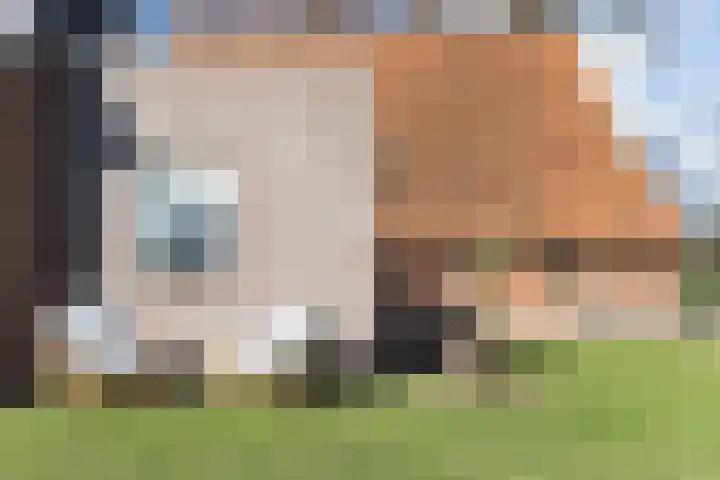 Oude Ootmarsumsestraat 66 Oldenzaal thumbnail 50