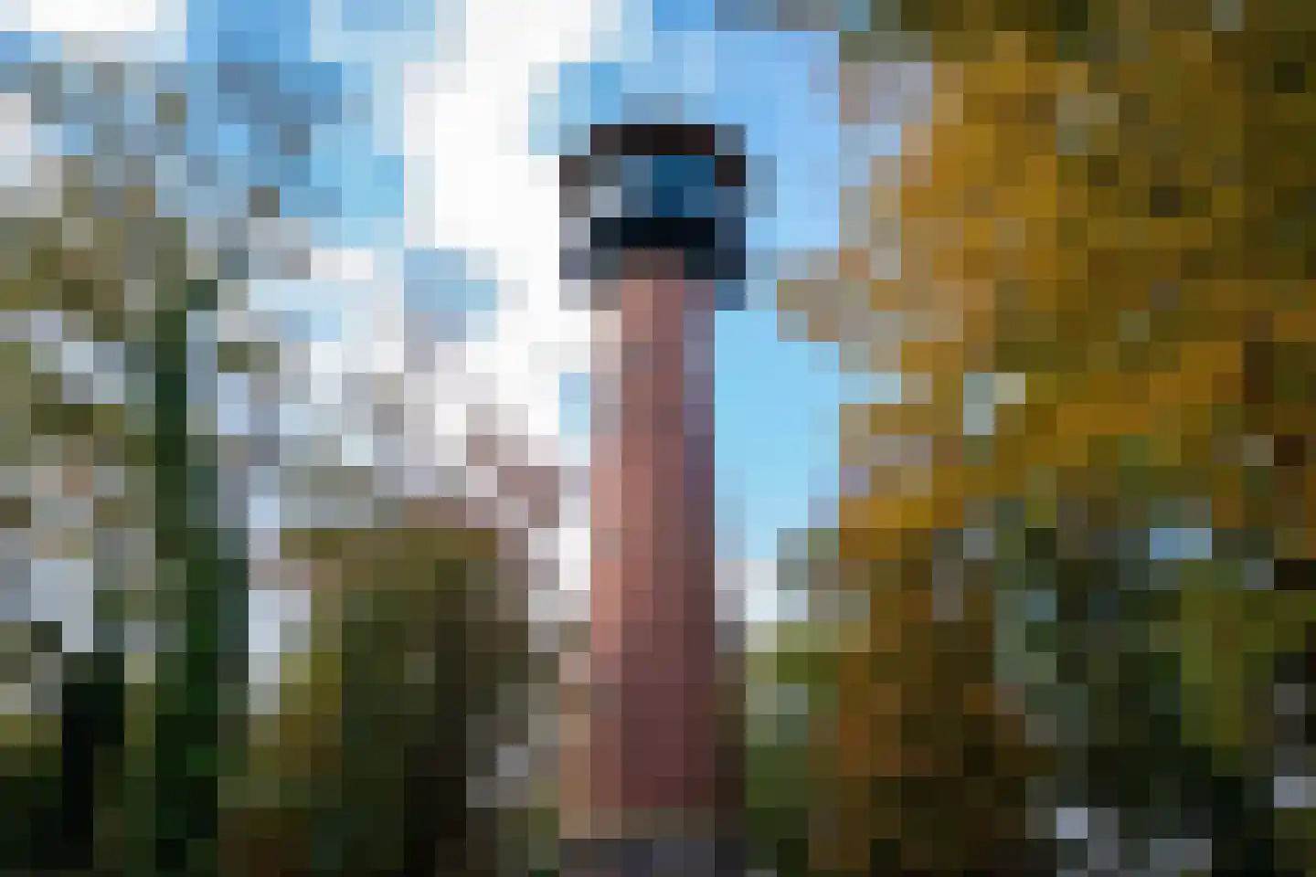 Oude Parklaan 104 i Castricum thumbnail 28