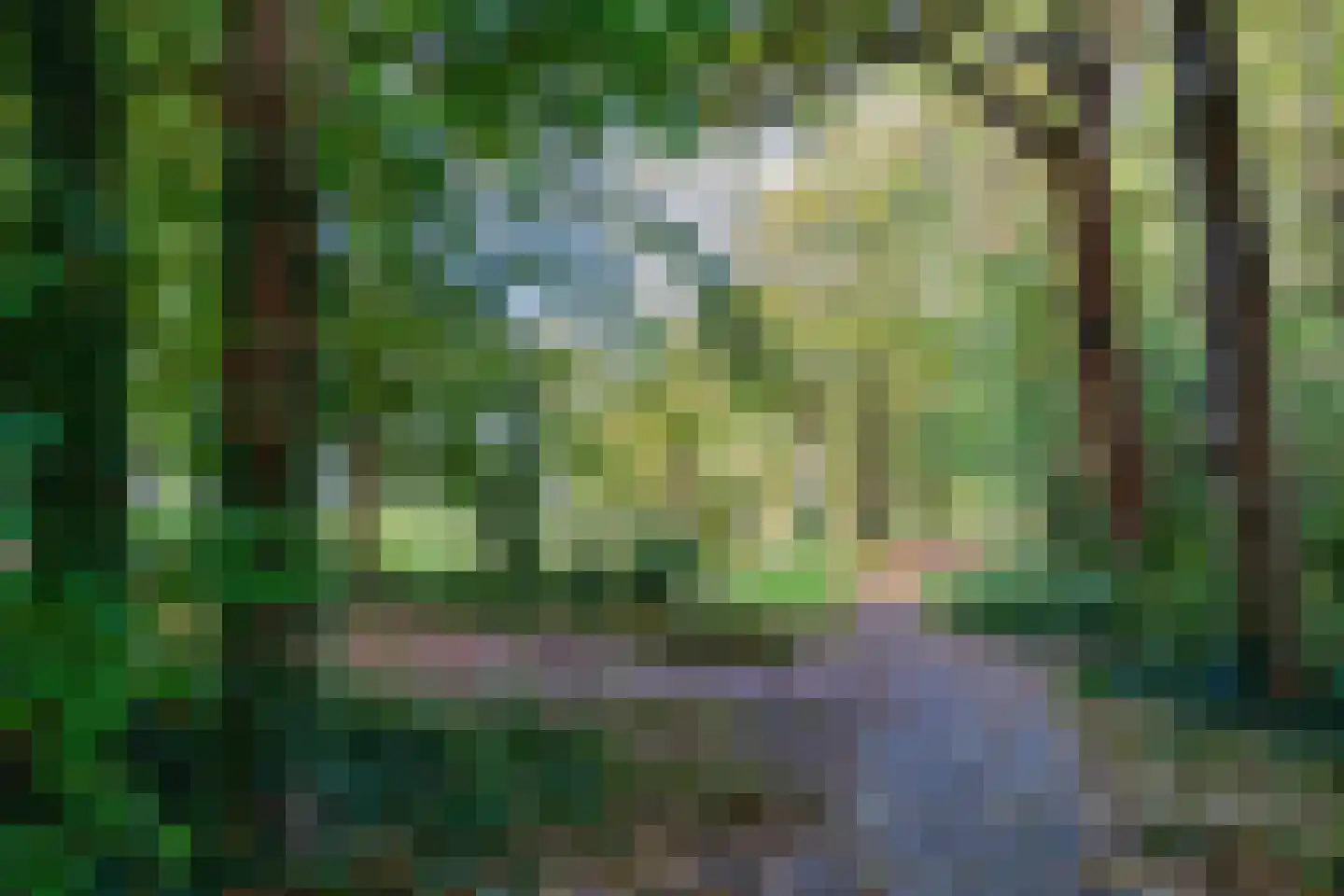 Oude Parklaan 104 i Castricum thumbnail 30