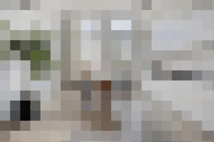 Oude Parklaan 55 Castricum thumbnail 16