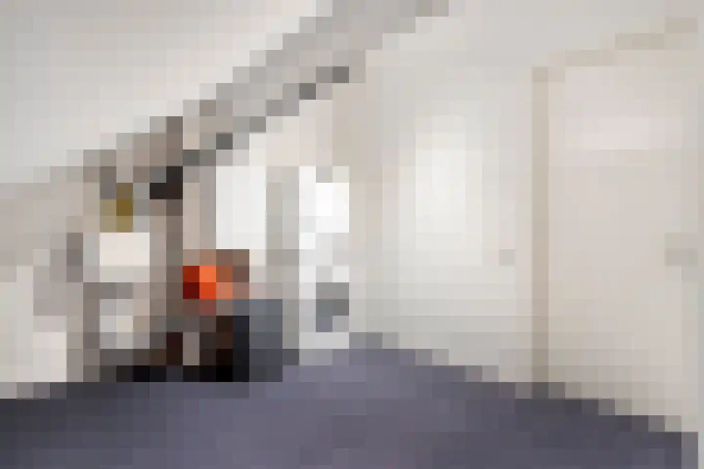 Oude Parklaan 55 Castricum thumbnail 47