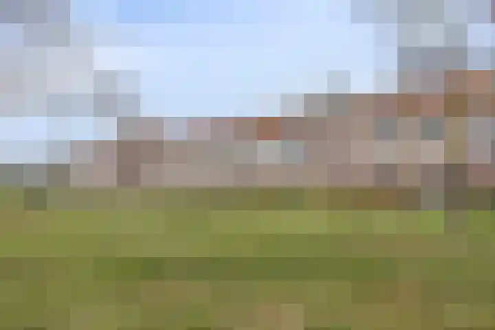 Oude Parklaan 55 Castricum thumbnail 49