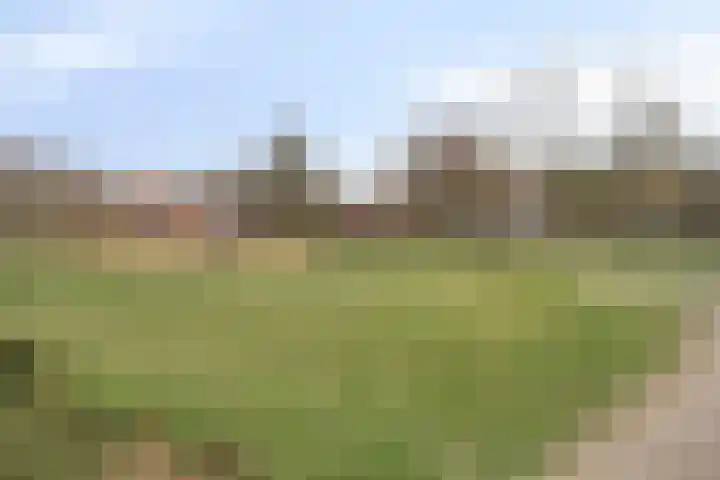 Oude Parklaan 55 Castricum thumbnail 59