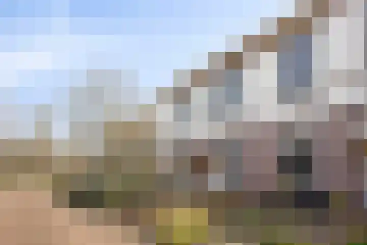 Oude Parklaan 55 Castricum thumbnail 6