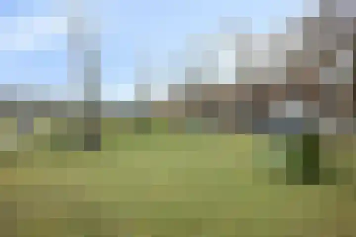 Oude Parklaan 55 Castricum thumbnail 61