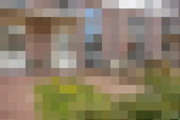 Oude Parklaan 55 Castricum thumbnail 7