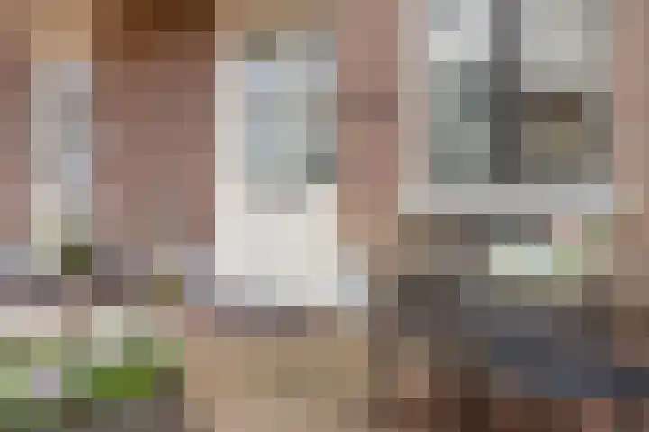Oude Parklaan 55 Castricum thumbnail 8