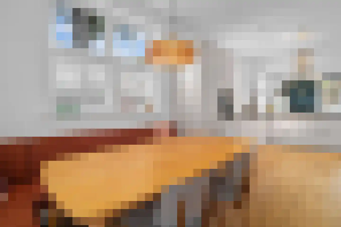 Oude Parklaan 6 Castricum thumbnail 21