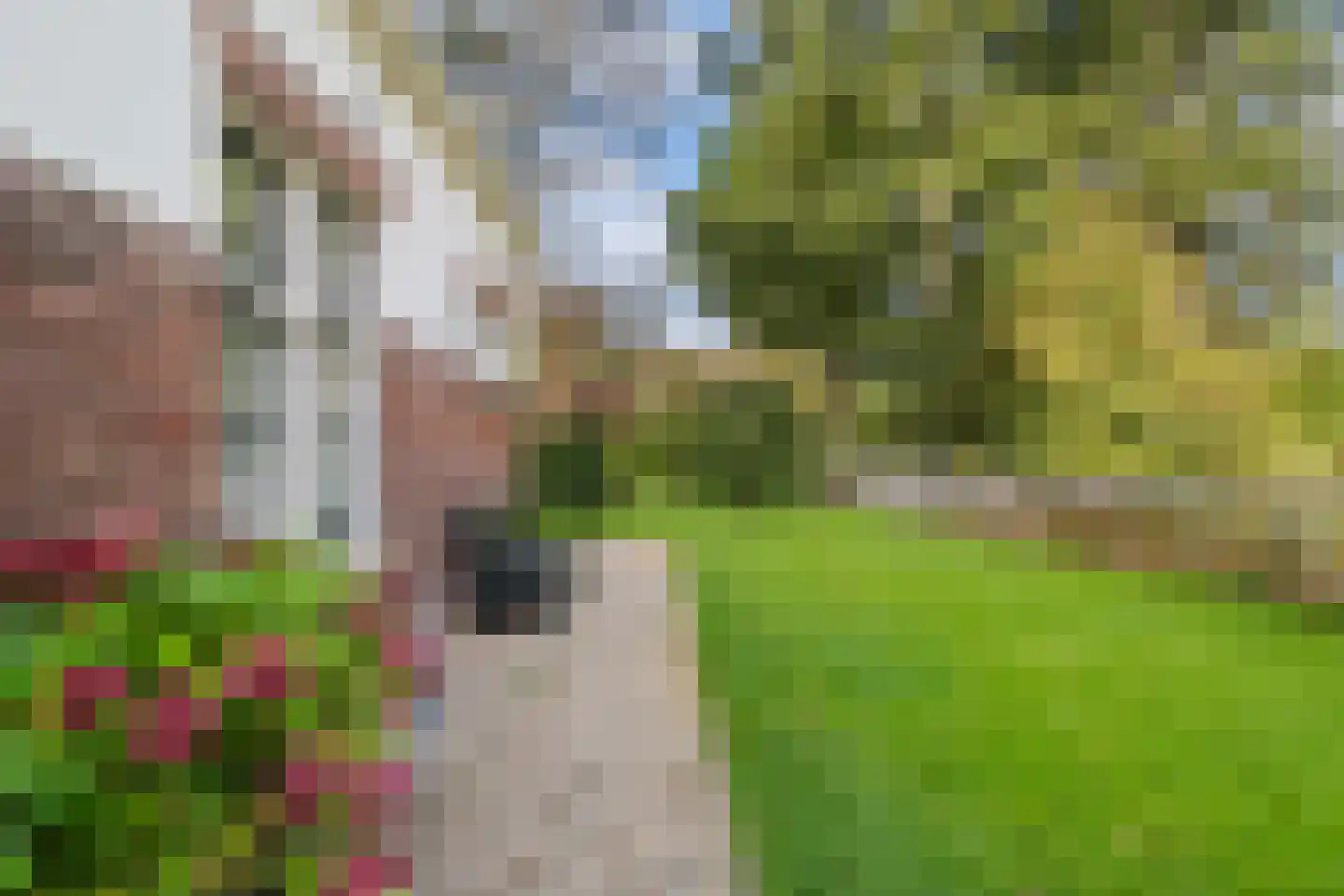Oude Parklaan 6 Castricum thumbnail 43