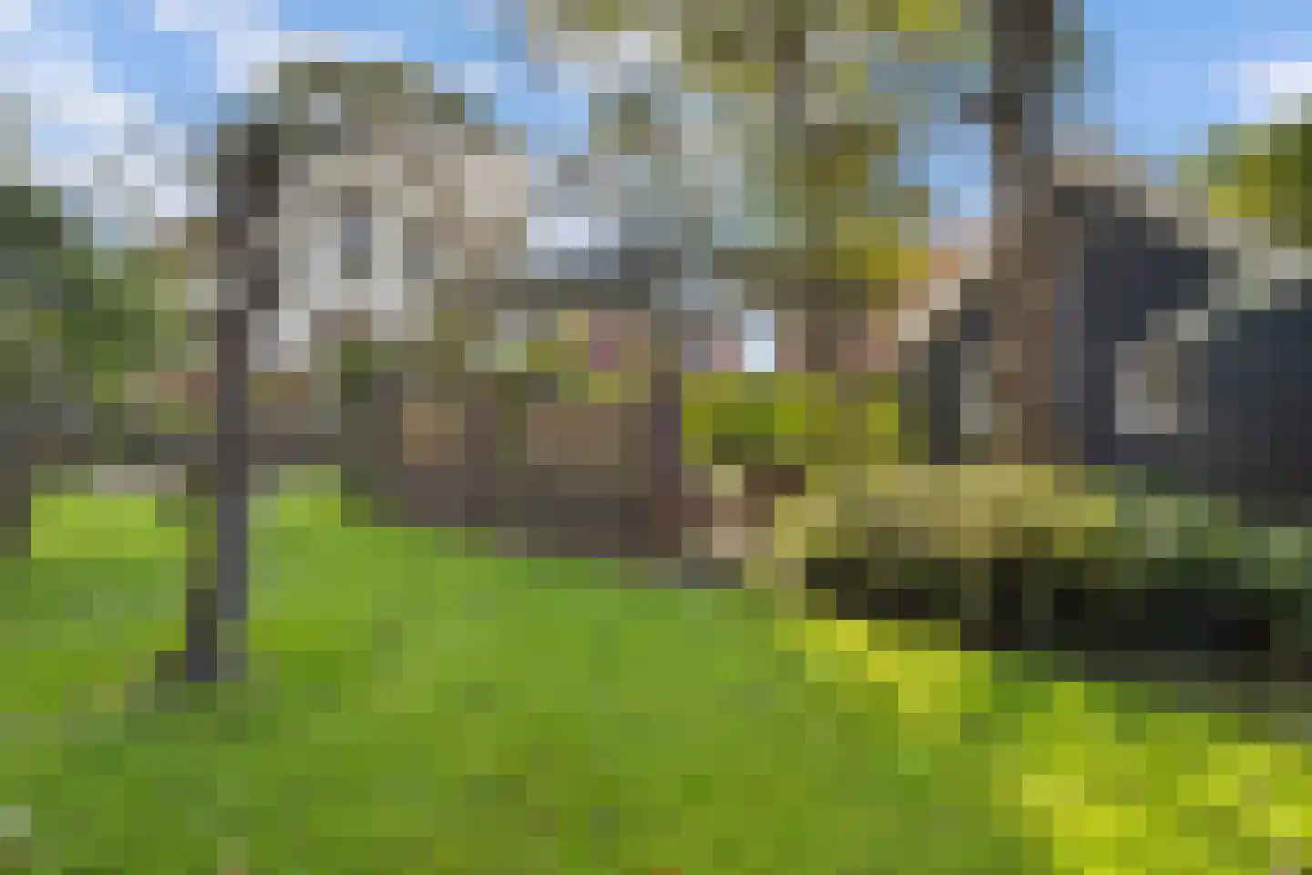Oude Parklaan 6 Castricum thumbnail 45