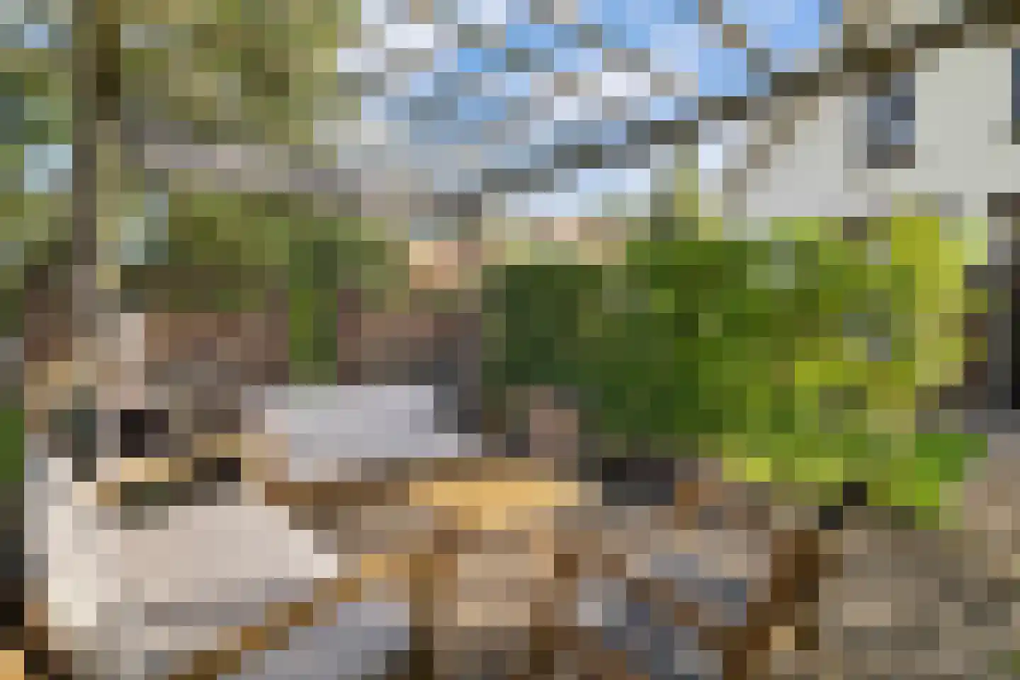 Oude Parklaan 6 Castricum thumbnail 5