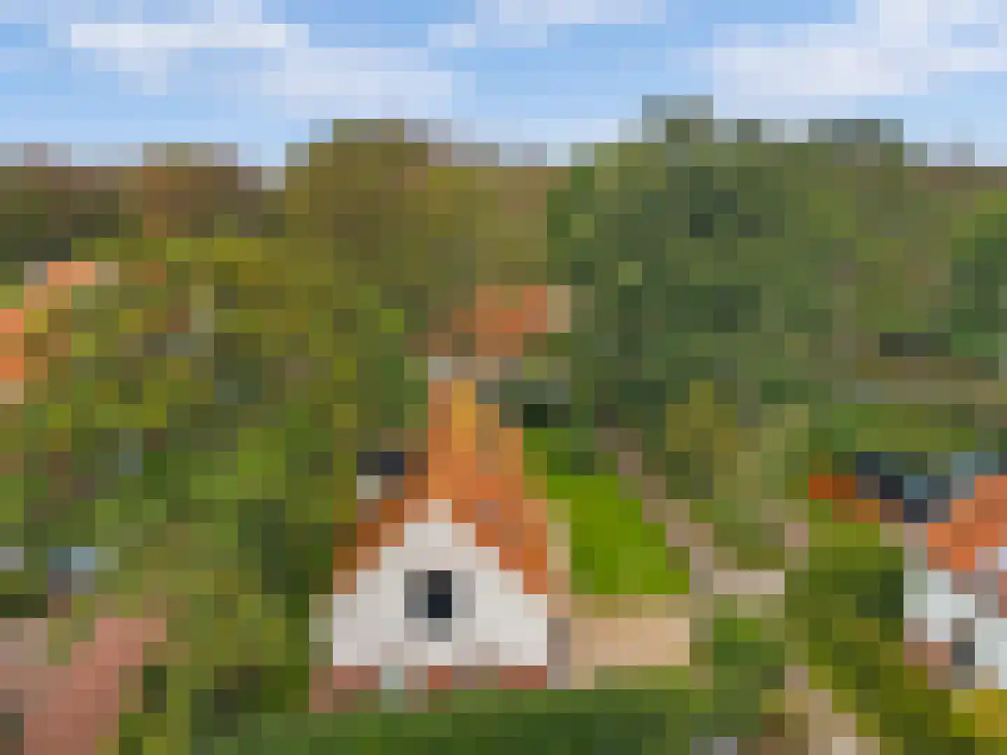 Oude Parklaan 6 Castricum thumbnail 53