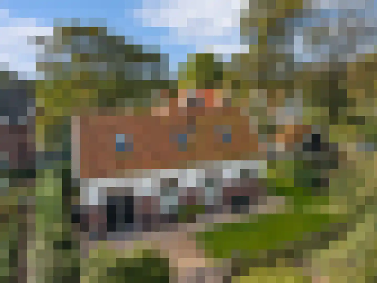 Oude Parklaan 6 Castricum thumbnail 54