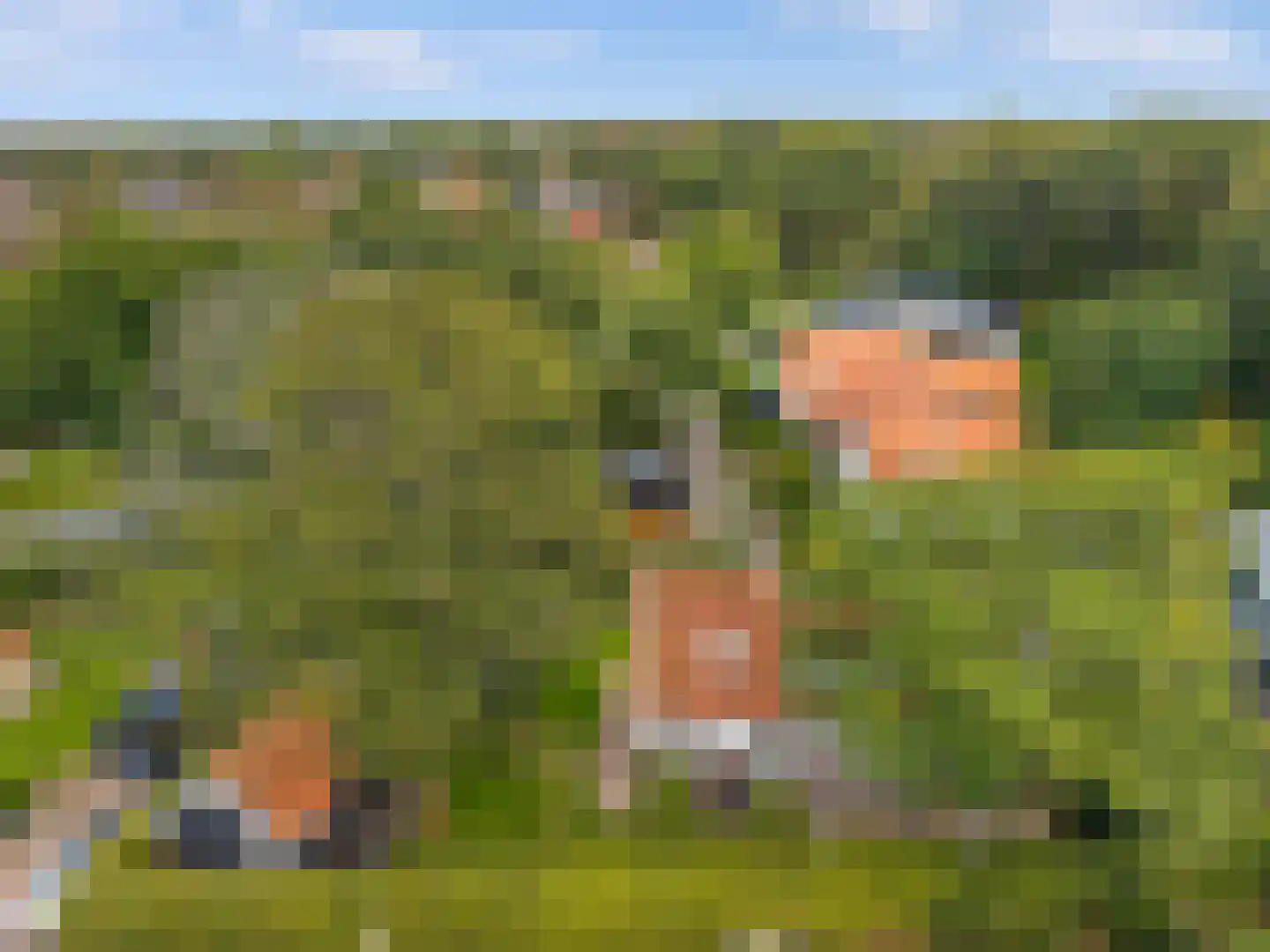 Oude Parklaan 6 Castricum thumbnail 55
