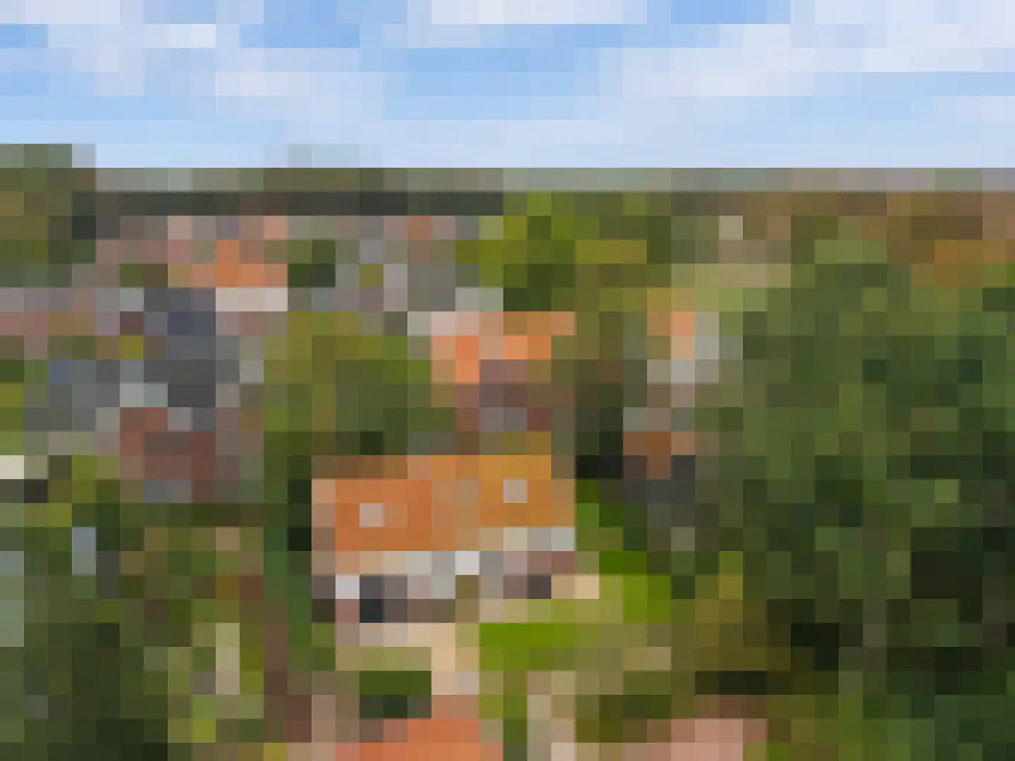 Oude Parklaan 6 Castricum thumbnail 6
