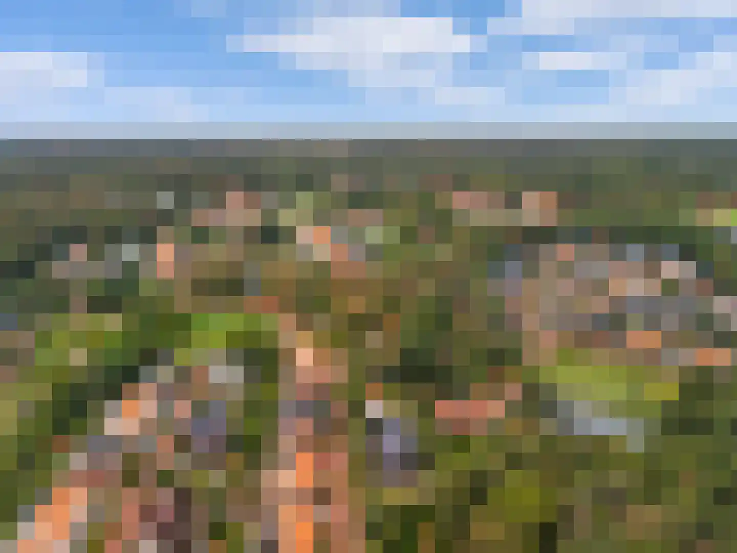 Oude Parklaan 6 Castricum thumbnail 60